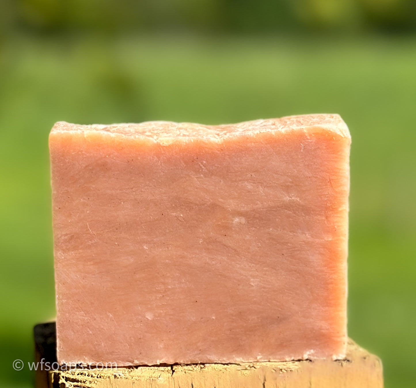 Caleb's Apple Cider Artisan Soap