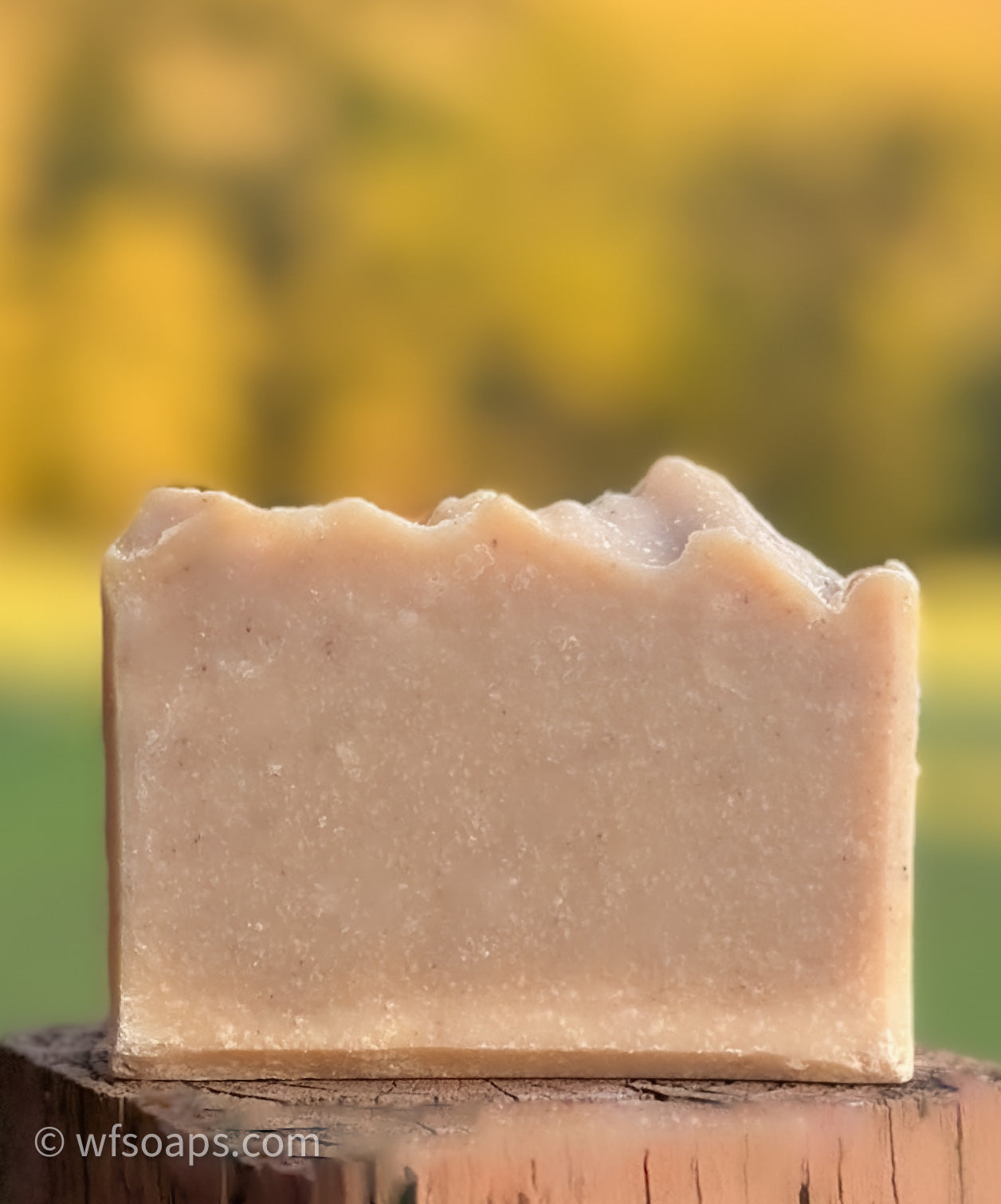 Oh My Cinnamon! Artisan Soap