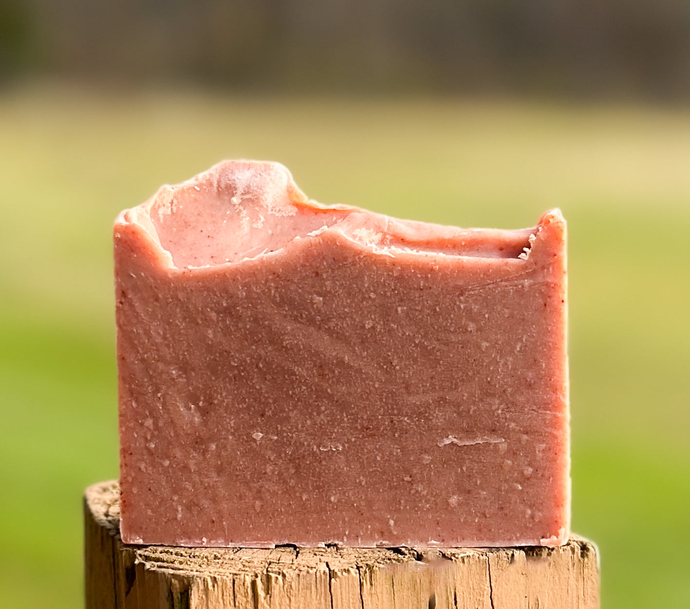 Country Marmalade Tallow Artisan Soap