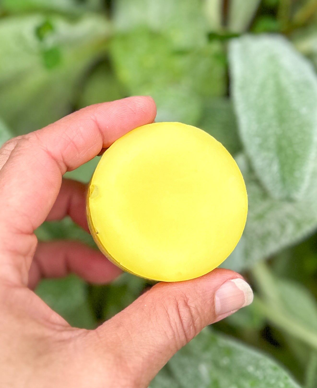 Natural Conditioner Bars